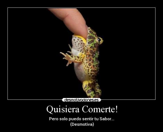 carteles sabor desmotivaciones