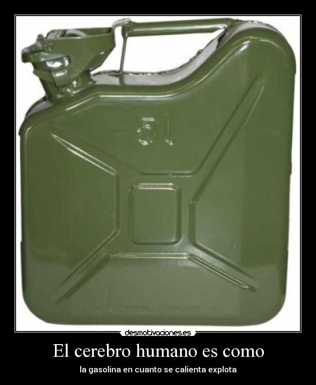 El cerebro humano es como - la gasolina en cuanto se calienta explota
