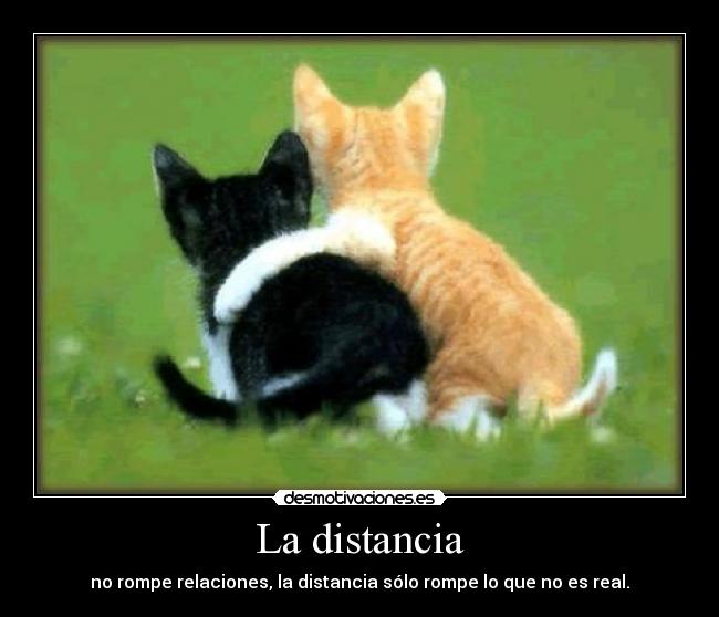 La distancia - no rompe relaciones, la distancia sólo rompe lo que no es real.