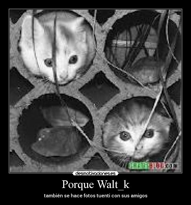 Porque Walt_k - también se hace fotos tuenti con sus amigos