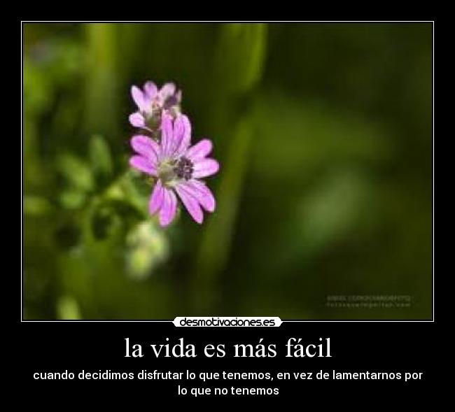 la vida es más fácil - cuando decidimos disfrutar lo que tenemos, en vez de lamentarnos por
lo que no tenemos
