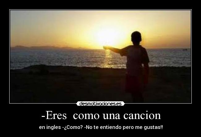 carteles entiedo pero gustas desmotivaciones