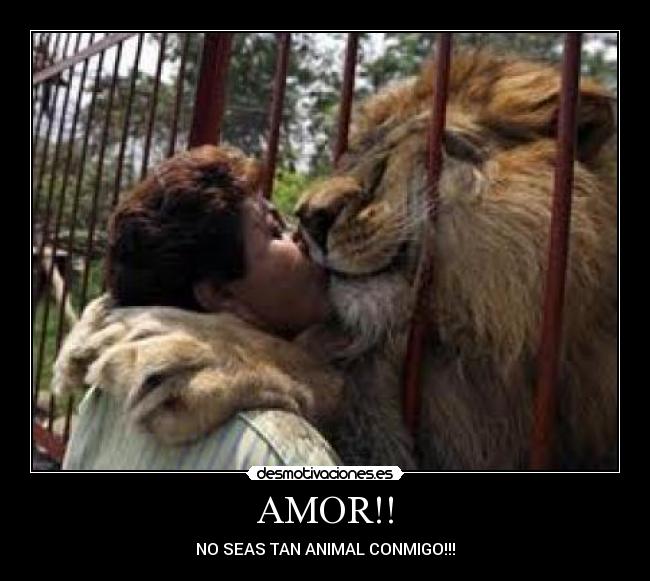 AMOR!! - NO SEAS TAN ANIMAL CONMIGO!!!