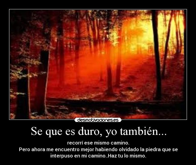 Se que es duro, yo también... - recorrí ese mismo camino.
Pero ahora me encuentro mejor habiendo olvidado la piedra que se
interpuso en mi camino..Haz tu lo mismo.
