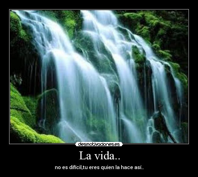 La vida.. - 