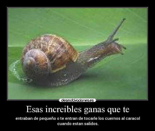 Esas increibles ganas que te - entraban de pequeño o te entran de tocarle los cuernos al caracol
cuando estan salidos.