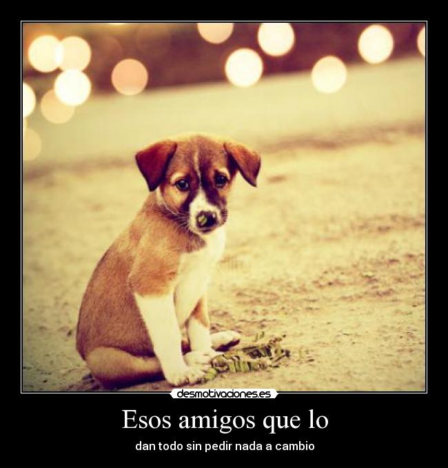 Esos amigos que lo - 