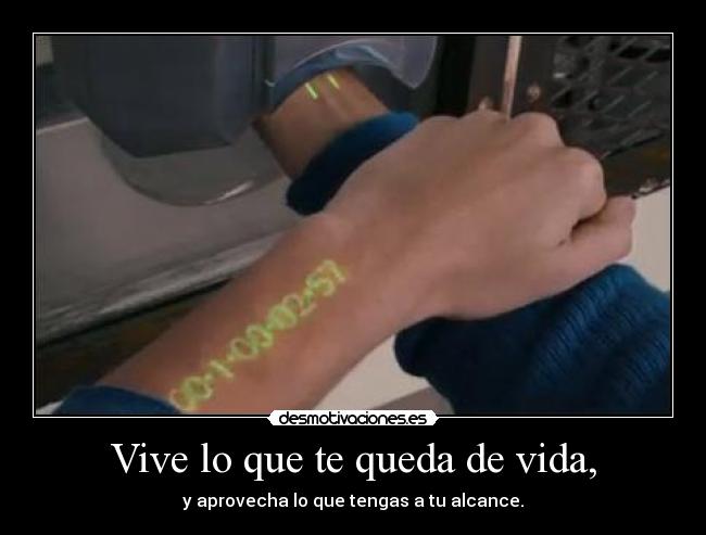 Vive lo que te queda de vida, - y aprovecha lo que tengas a tu alcance.