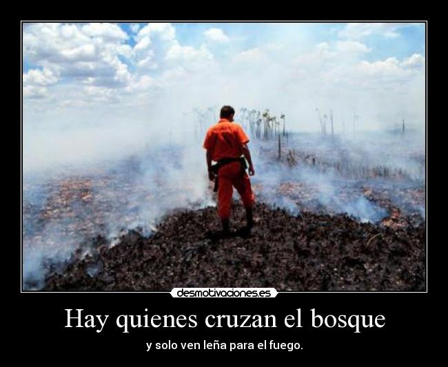Hay quienes cruzan el bosque - y solo ven leña para el fuego.