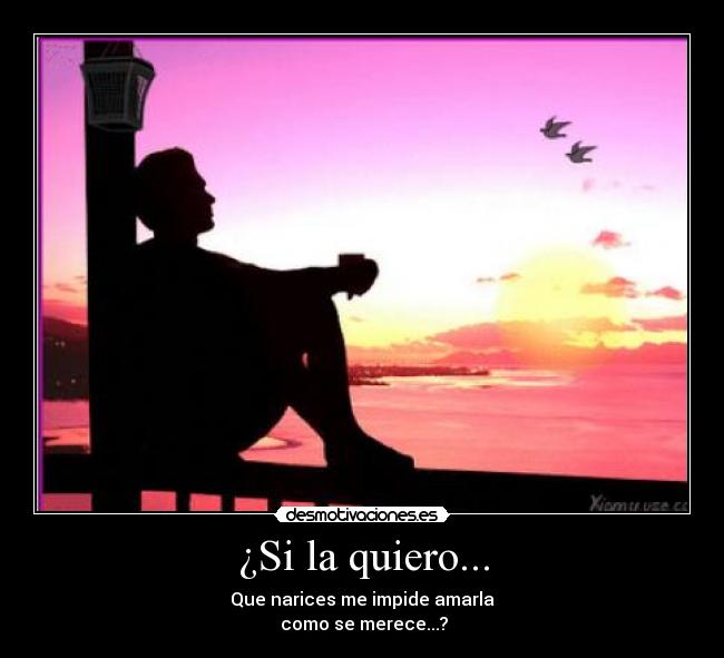 ¿Si la quiero... - Que narices me impide amarla
 como se merece...?