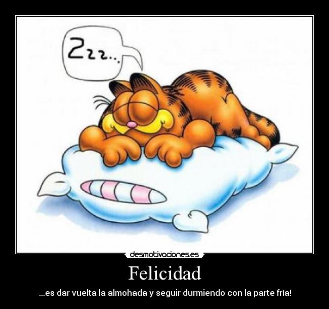 Felicidad -