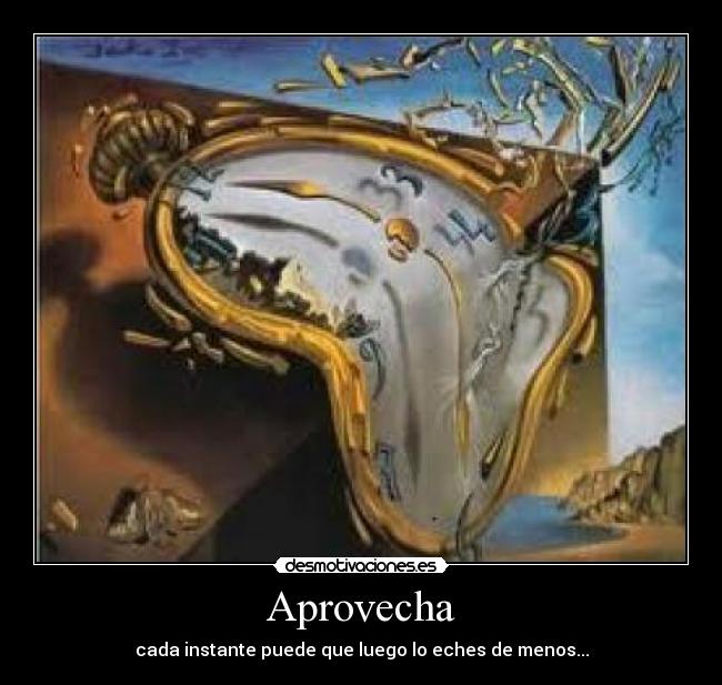 Aprovecha - cada instante puede que luego lo eches de menos...