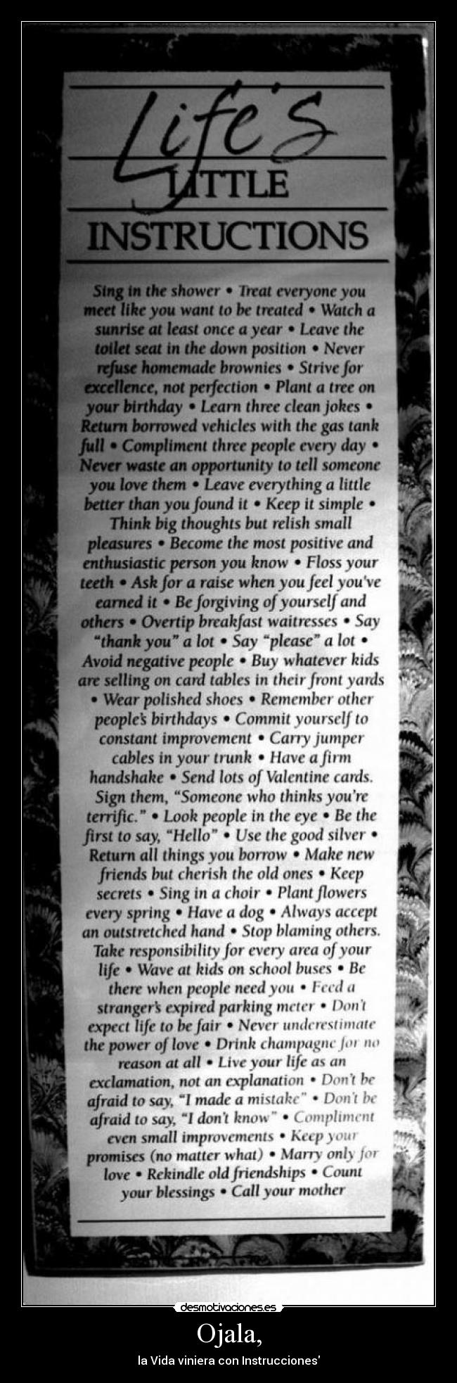 Ojala, - la Vida viniera con Instrucciones