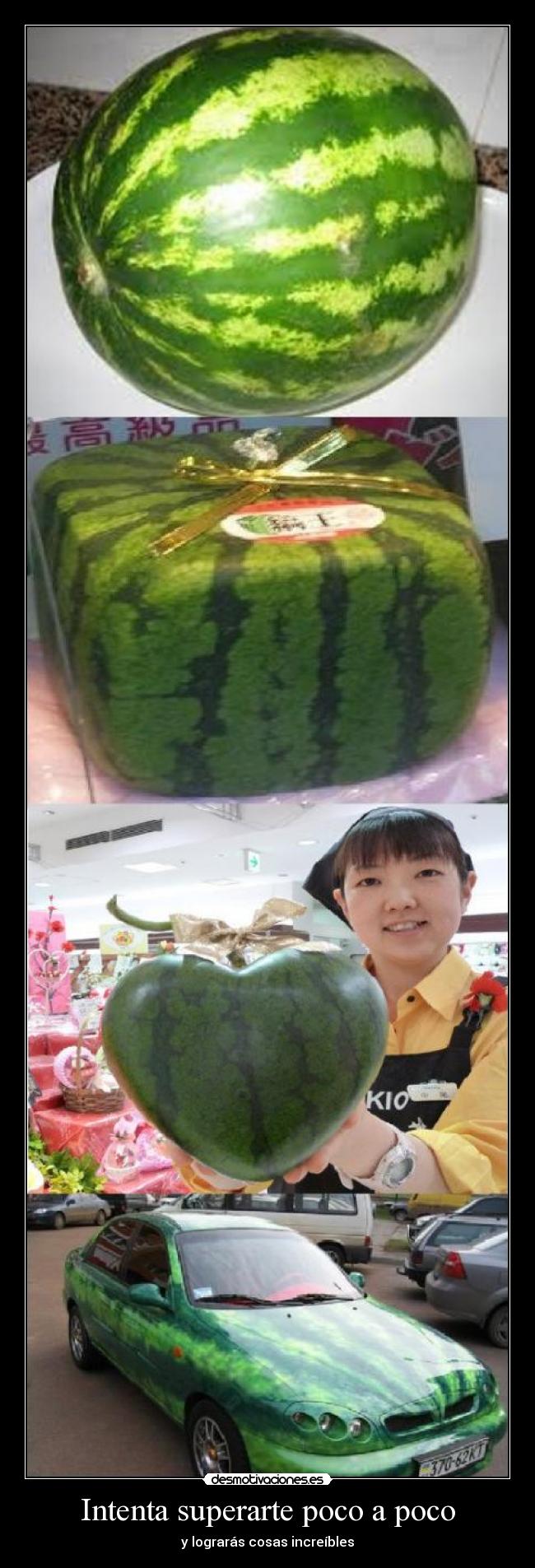 Intenta superarte poco a poco - 