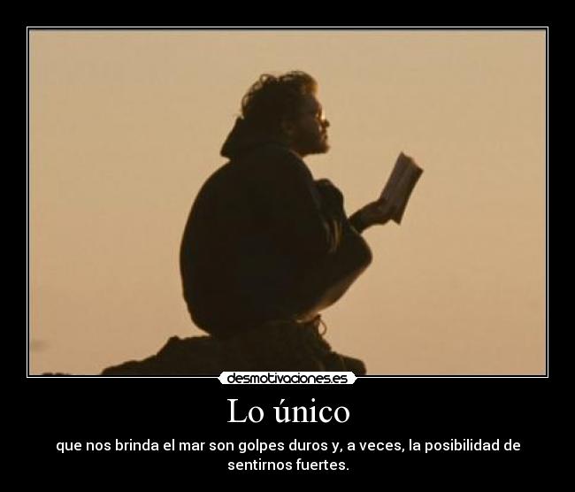 carteles into the wild desmotivaciones
