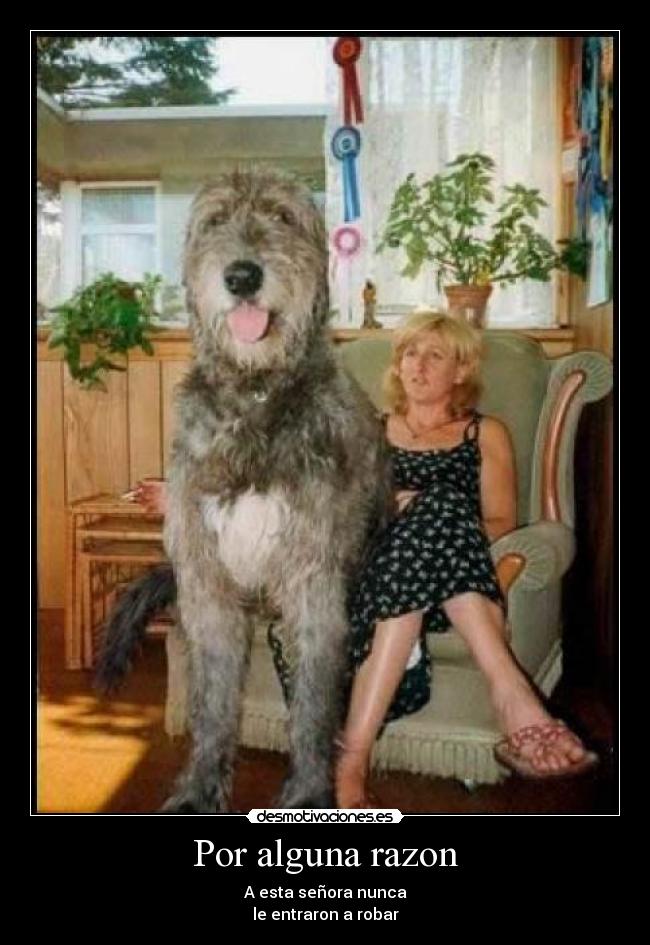 Por alguna razon - A esta señora nunca
le entraron a robar