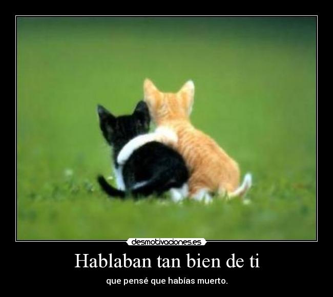 Hablaban tan bien de ti - que pensé que habías muerto.