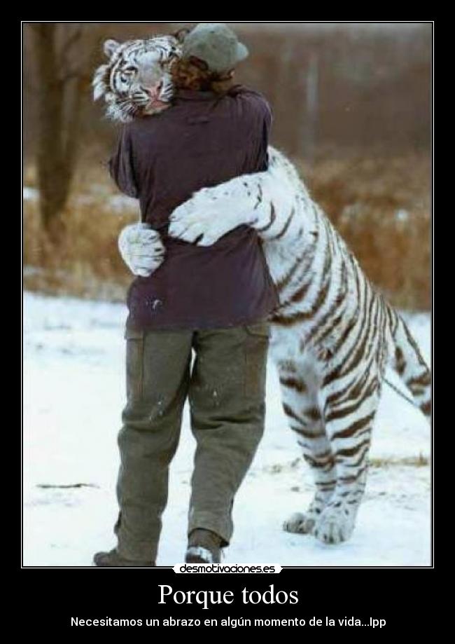 Porque todos - Necesitamos un abrazo en algún momento de la vida...Ipp