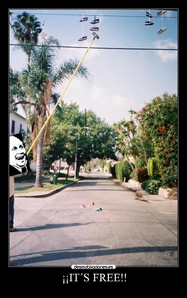¡¡IT´S FREE!! - 