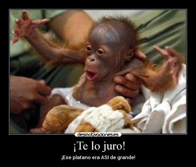 ¡Te lo juro! - ¡Ese platano era ASI de grande!