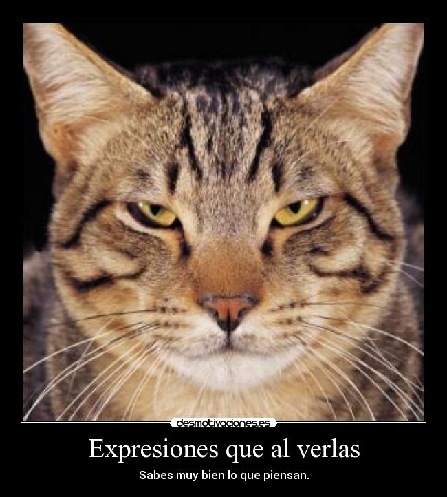 Expresiones que al verlas - Sabes muy bien lo que piensan.