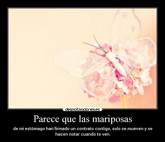 Parece que las mariposas - de mi estómago han firmado un contrato contigo, solo se mueven y se
hacen notar cuando te ven.
