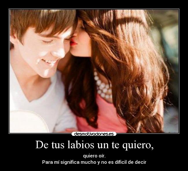 carteles quiero desmotivaciones