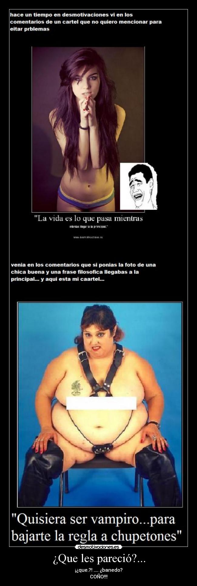 ¿Que les pareció?... -