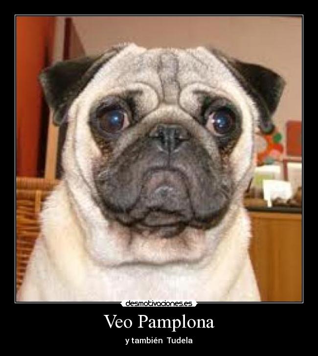 Veo Pamplona - y también  Tudela