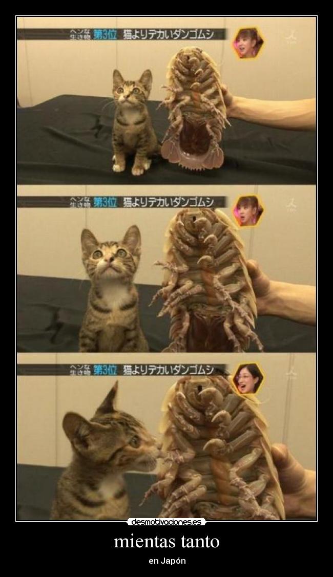 mientas tanto - en Japón