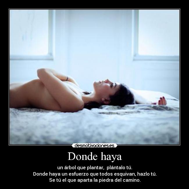 Donde haya -