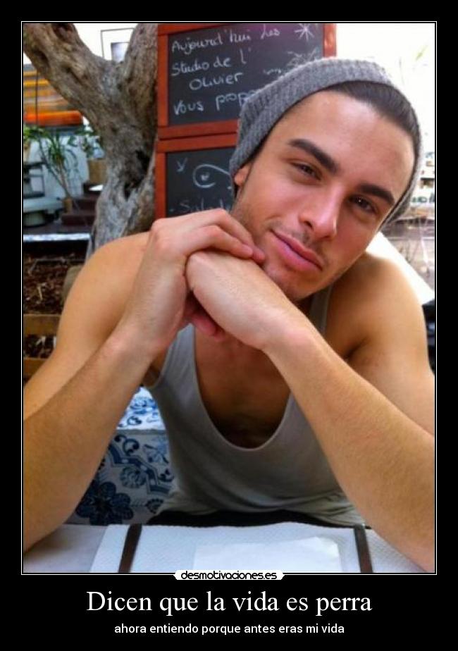 Dicen que la vida es perra -