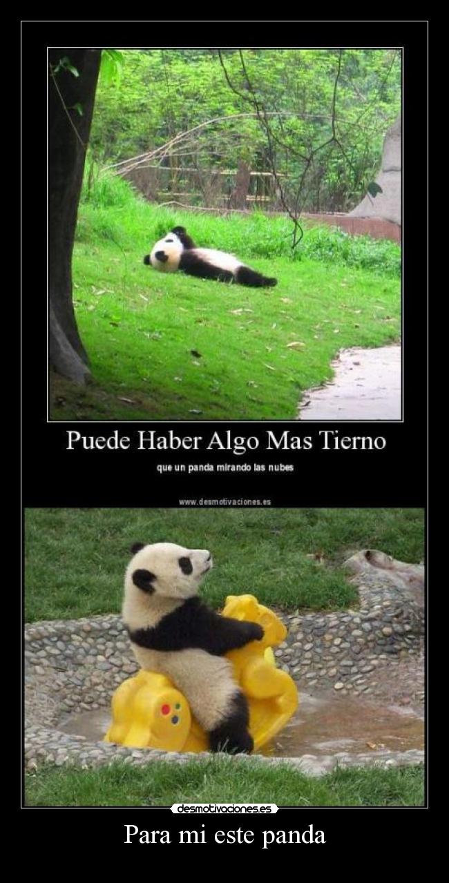 Para mi este panda - 