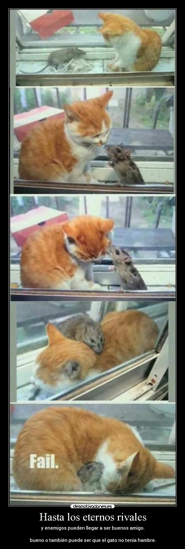 Hasta los eternos rivales -