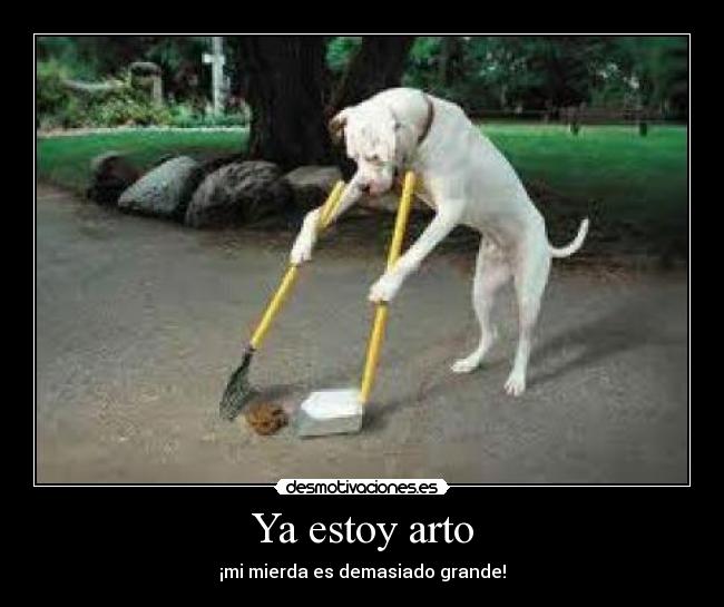 Ya estoy arto - ¡mi mierda es demasiado grande!