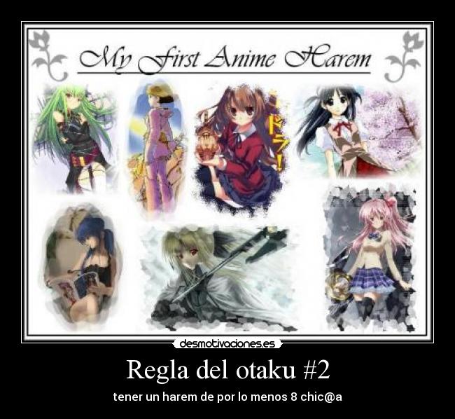 Regla del otaku #2 -