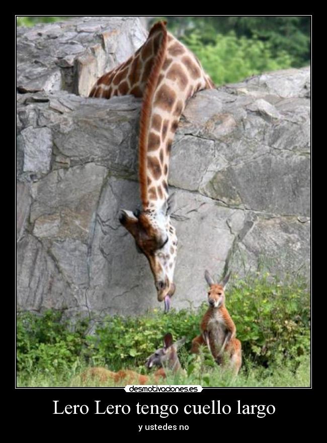 Lero Lero tengo cuello largo -
