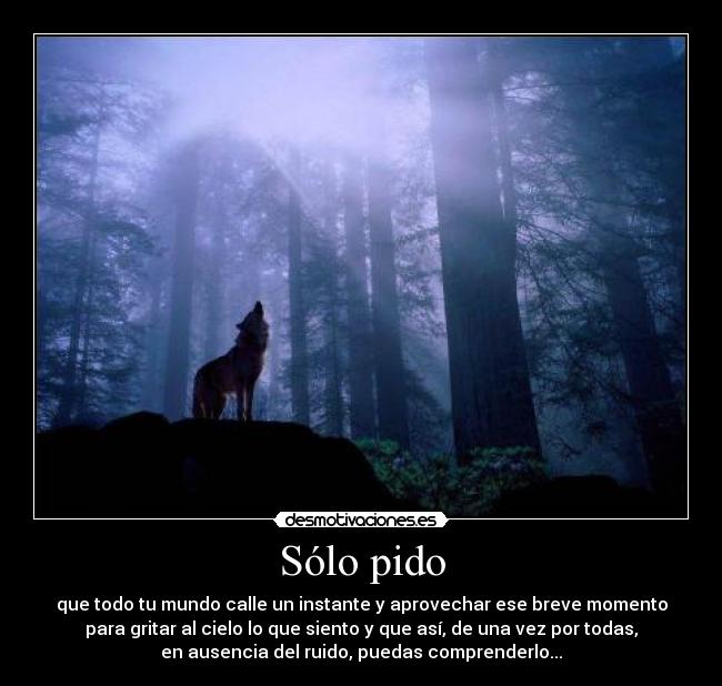 Sólo pido - 
