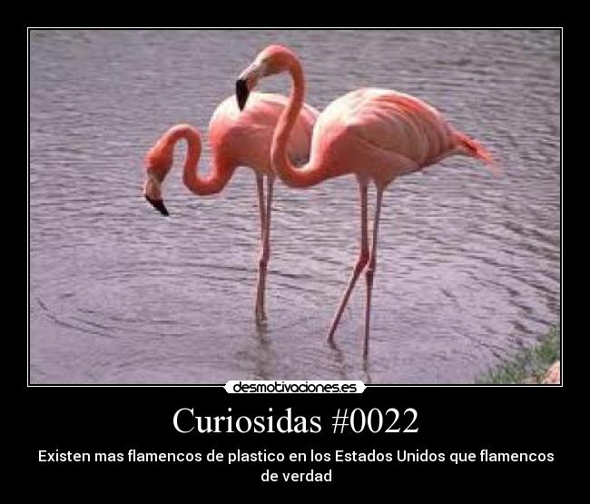 Curiosidas #0022 - 