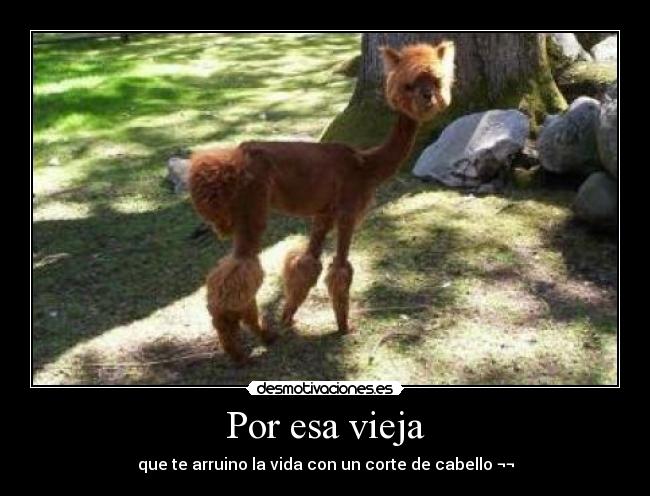 carteles airamh desmotivaciones