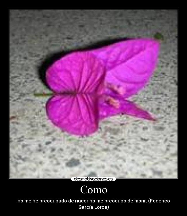 carteles manuatletico desmotivaciones