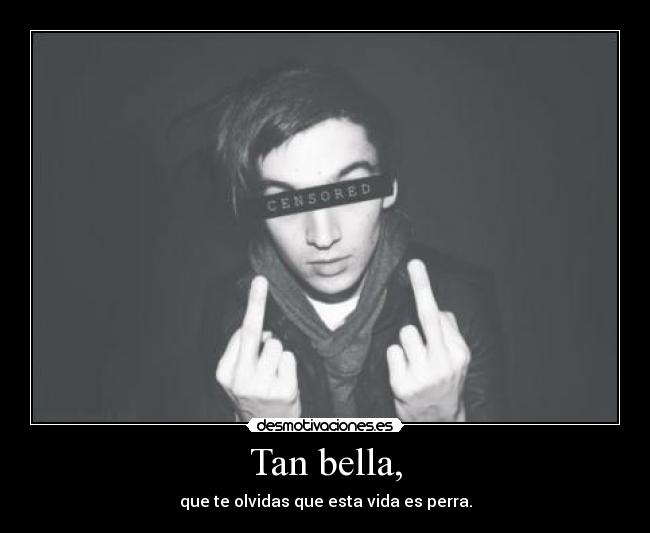 Tan bella, - que te olvidas que esta vida es perra.