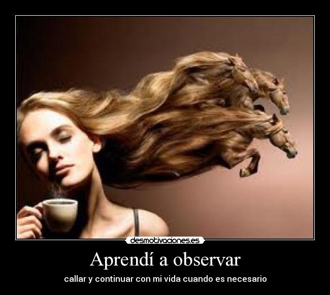 Aprendí a observar -