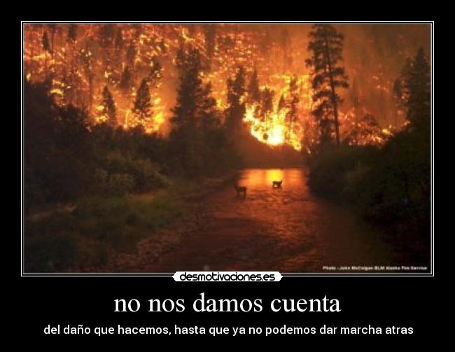 no nos damos cuenta - del daño que hacemos, hasta que ya no podemos dar marcha atras