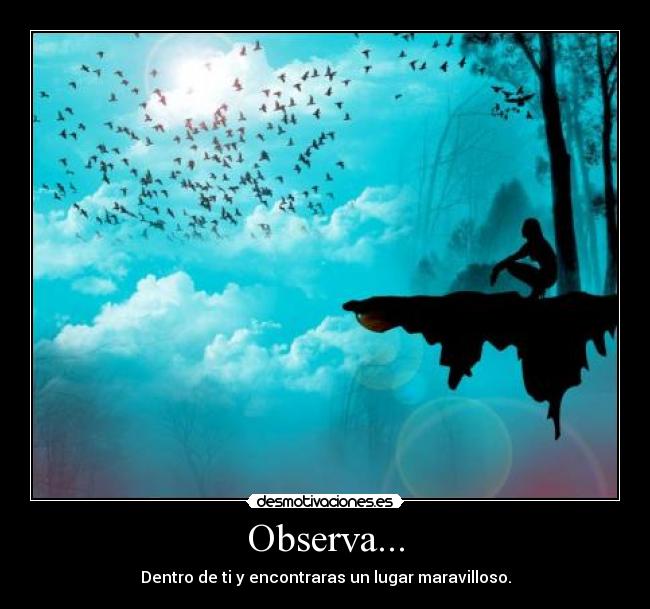 Observa... - 