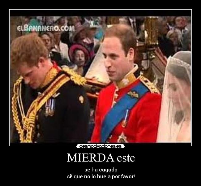 MIERDA este - se ha cagado
si! que no lo huela por favor!