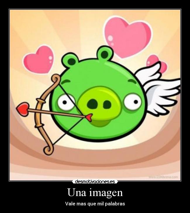 Una imagen - Vale mas que mil palabras