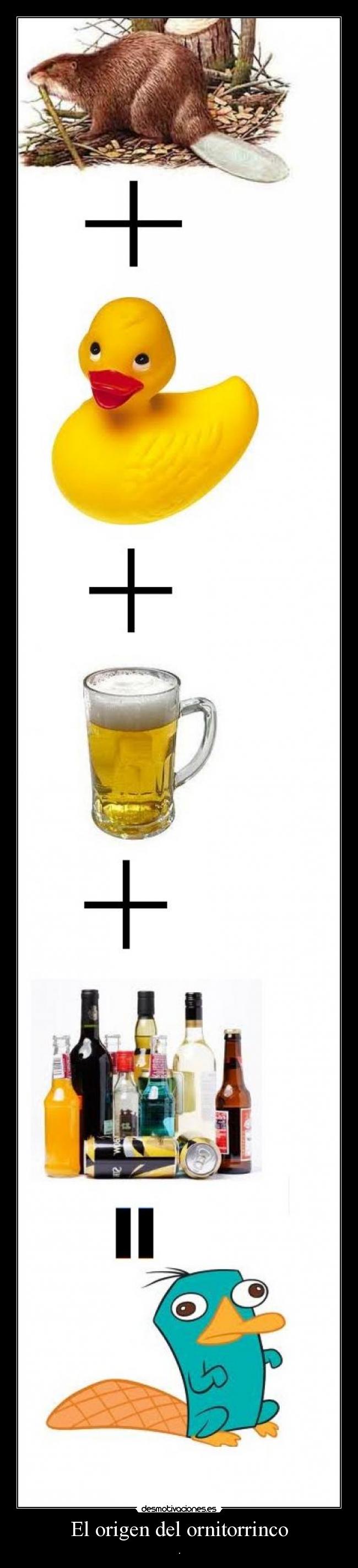 El origen del ornitorrinco -