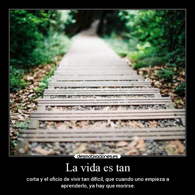 La vida es tan -