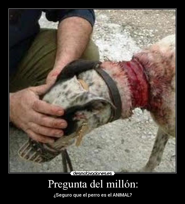 Pregunta del millón: -